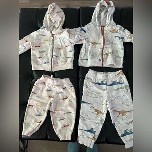 Kids Dinosaur Print Active Sweatsuit Set